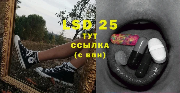 гашик Володарск