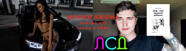 гашик Володарск